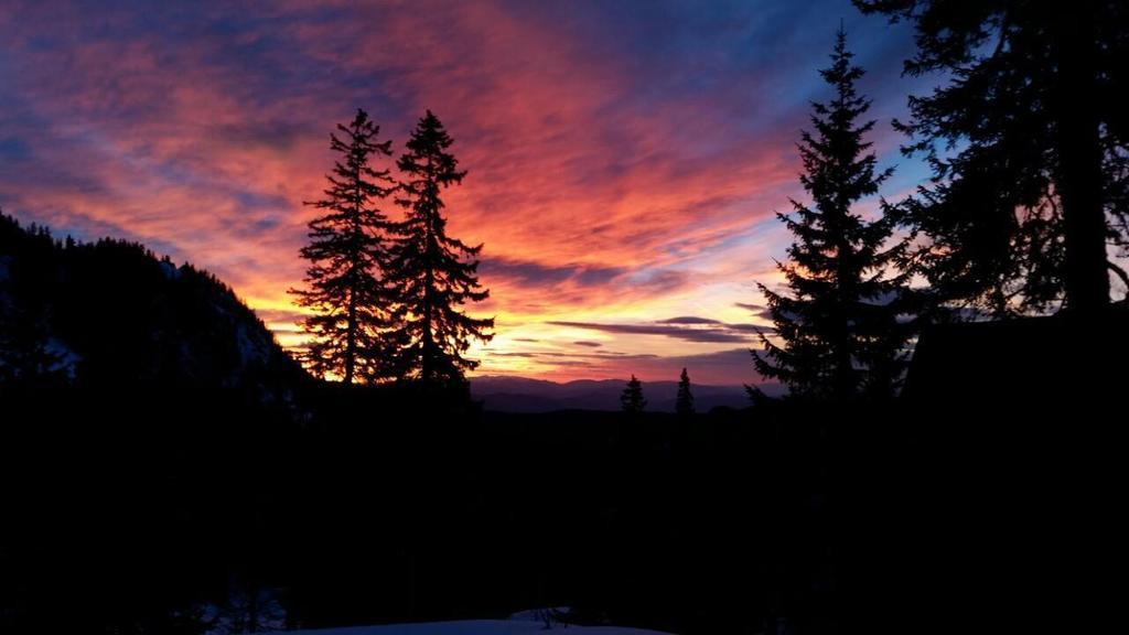 Apartments Milinkovic Jahorina Kültér fotó