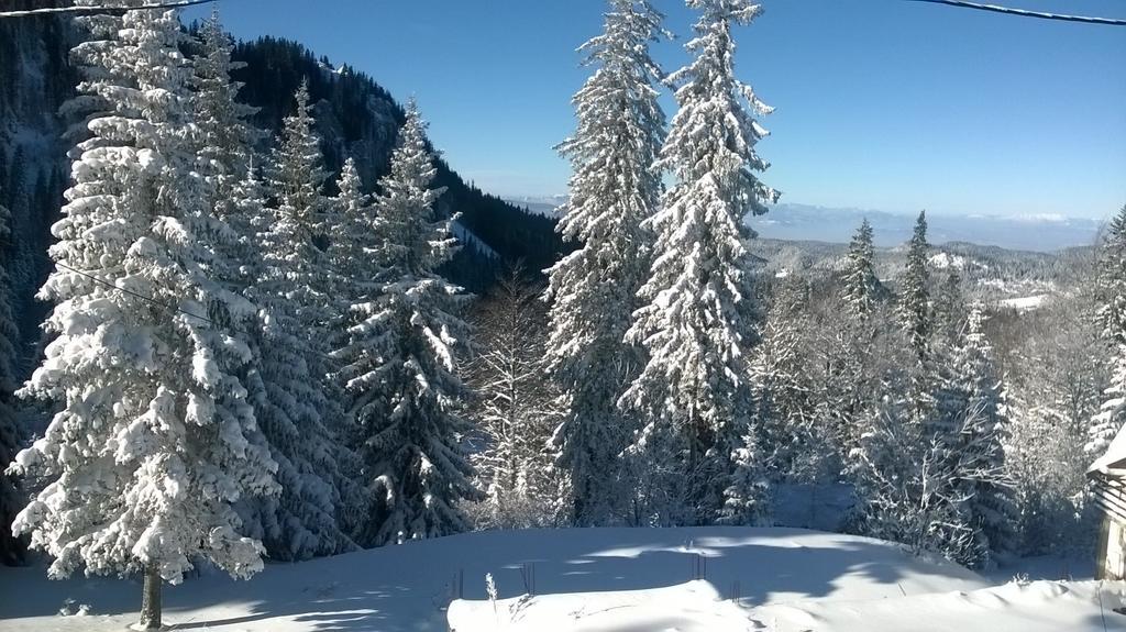 Apartments Milinkovic Jahorina Kültér fotó