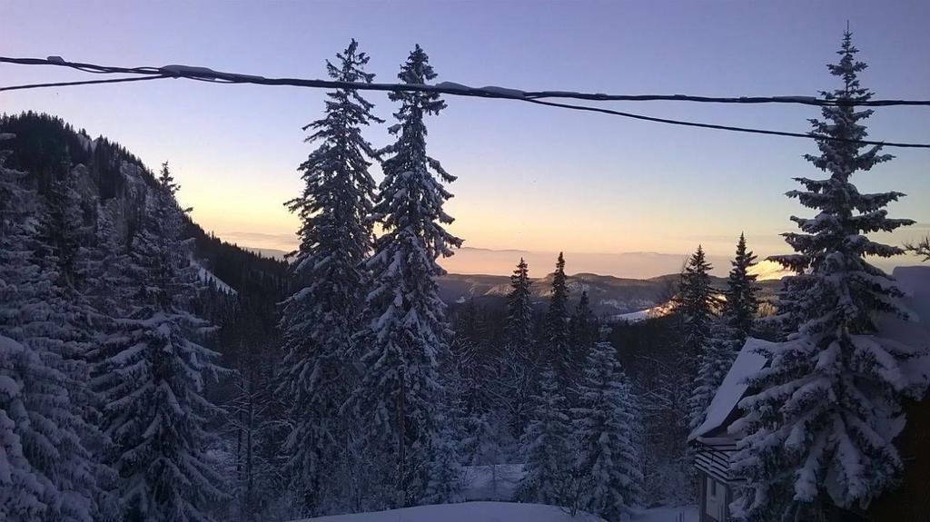 Apartments Milinkovic Jahorina Kültér fotó